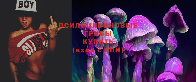 цены наркотик  Урюпинск  Галлюциногенные грибы Magic Shrooms 